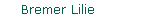 Bremer Lilie